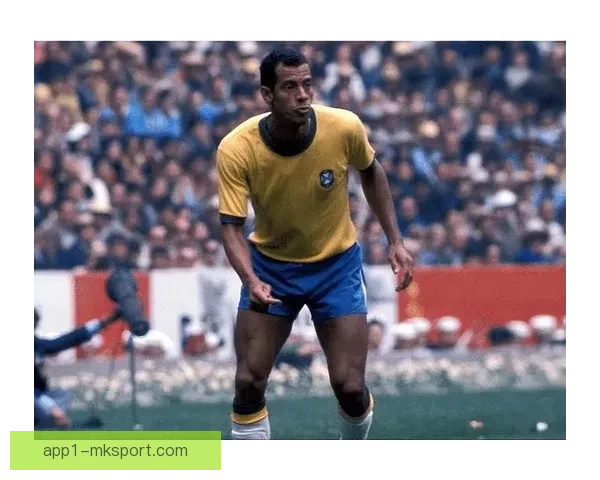 巴西足球巨星的辉煌历程与全球足坛影响力分析 巴西足球巨星的辉煌历程与全球足坛影响力分析